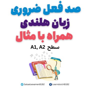 Photo2024 12 1621 13 42